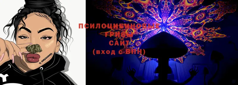 ссылка на мегу ТОР  Гай  Галлюциногенные грибы Cubensis 